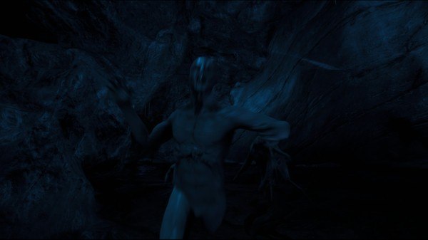 The Forest PS4 Account