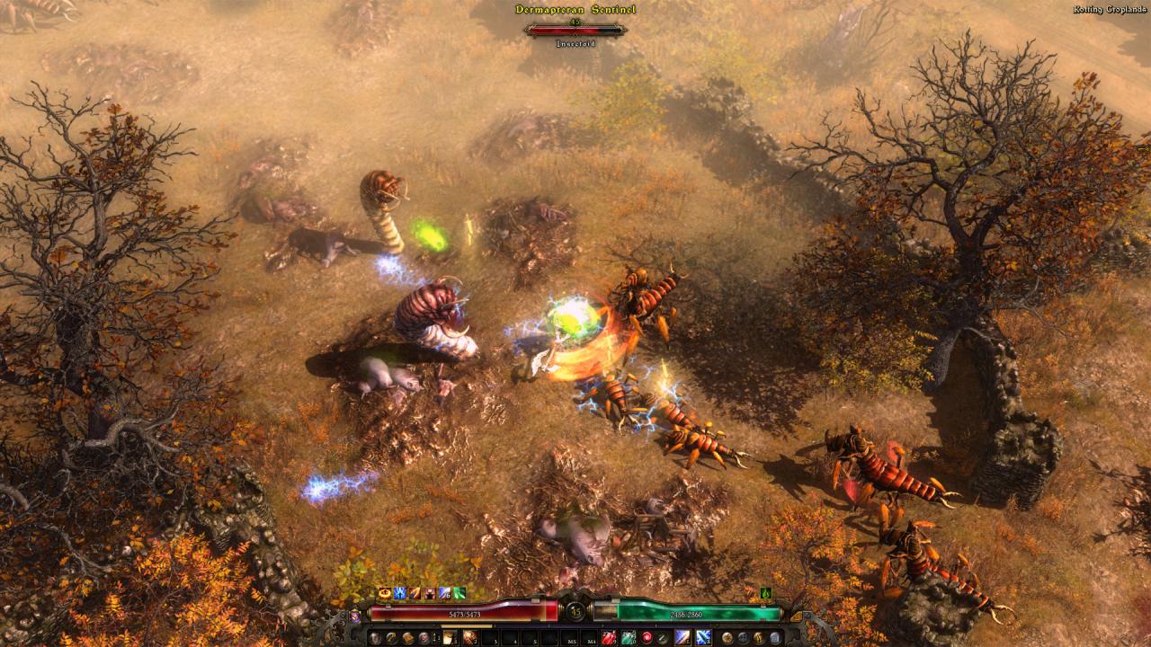 Grim Dawn Definitive Edition Steam Account