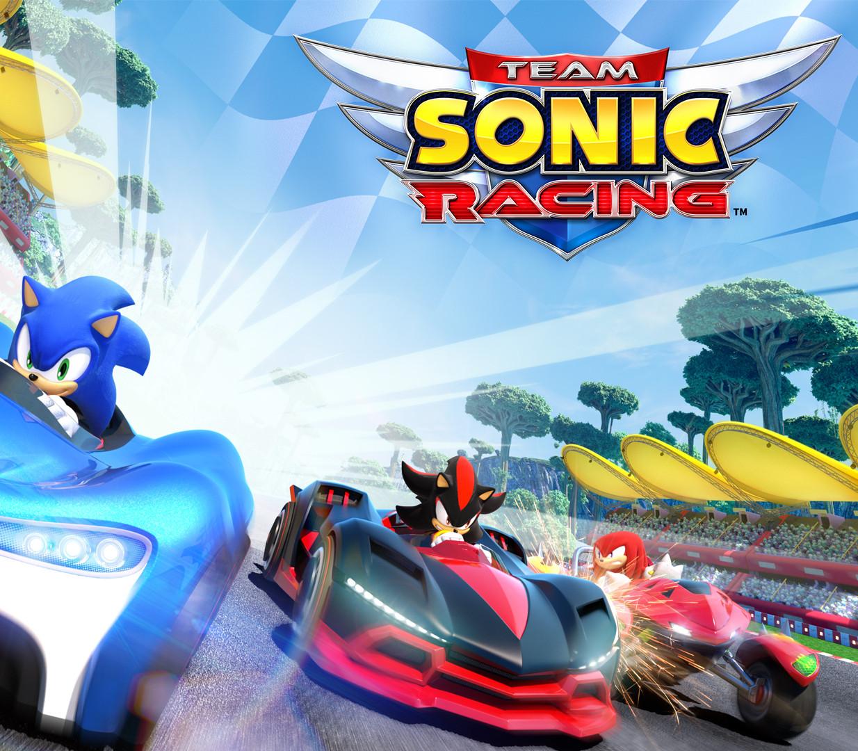 Team Sonic Racing PS4/PS5 Account