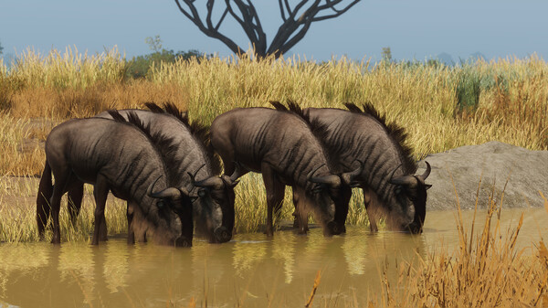 Planet Zoo Ultimate Edition 2023 Steam Account