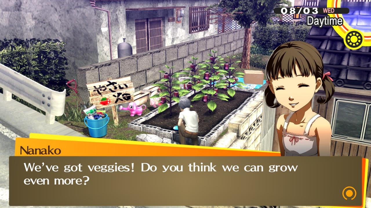 Persona 4 Golden Steam Account