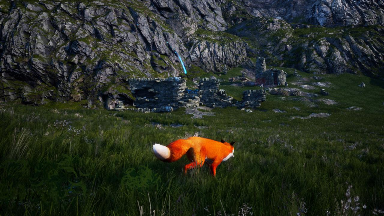 Spirit of the North PC Steam Account