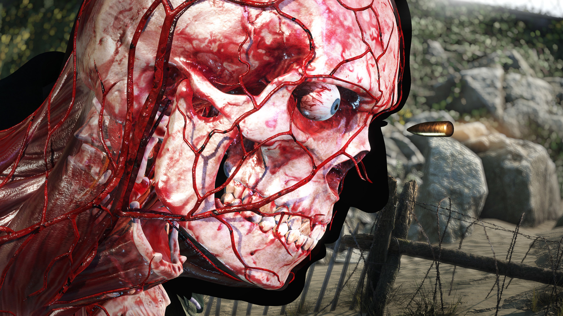 Sniper Elite 5 Deluxe Edition Steam Account