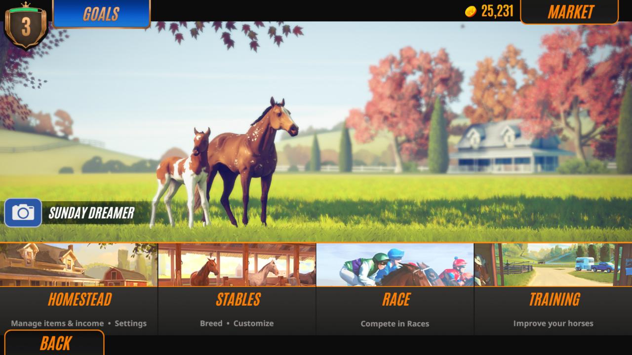Rival Stars Horse Racing Steam Account 