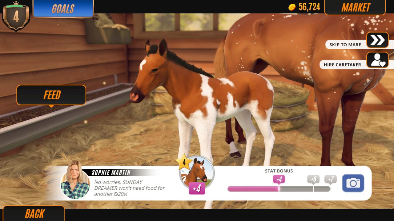 Rival Stars Horse Racing Steam Account 