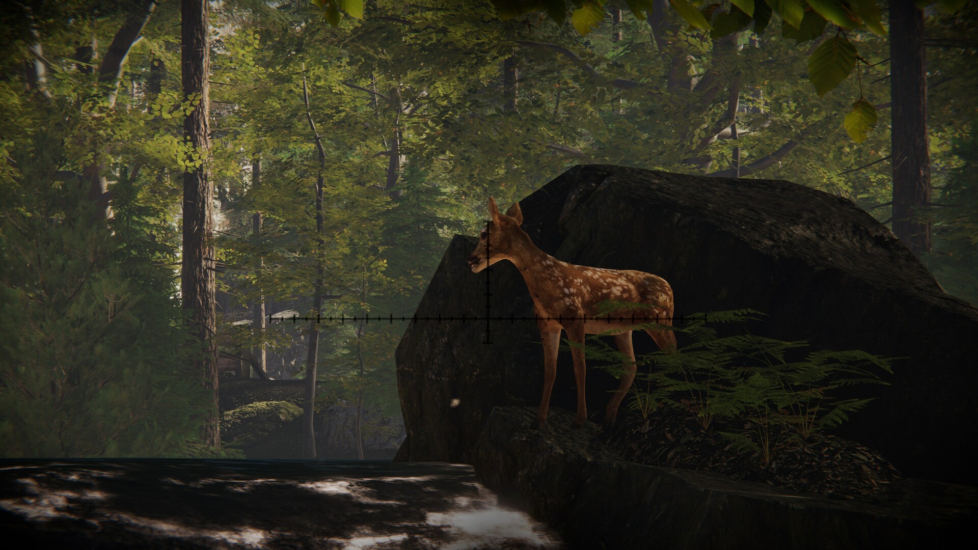 Forest Ranger Simulator PC Steam Account