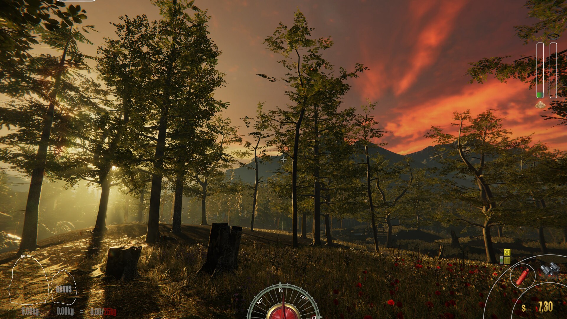Forest Ranger Simulator PC Steam Account