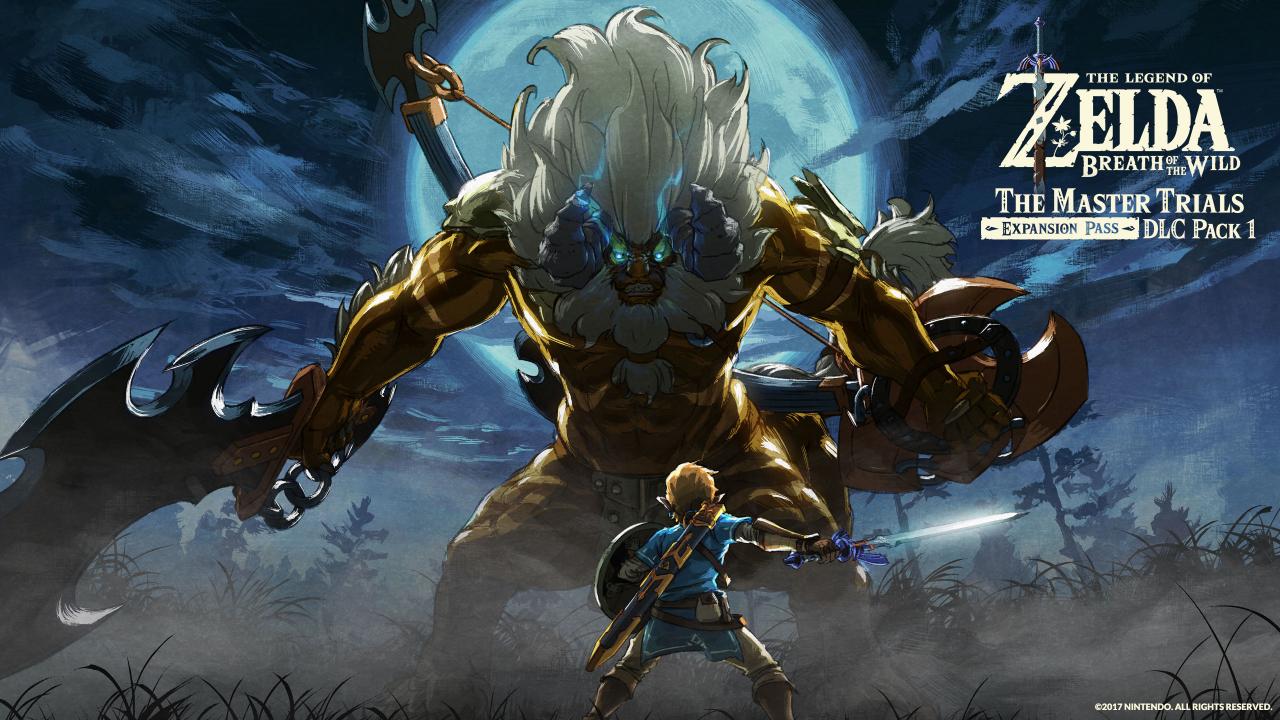 The Legend of Zelda: Breath of the Wild Nintendo Switch Access