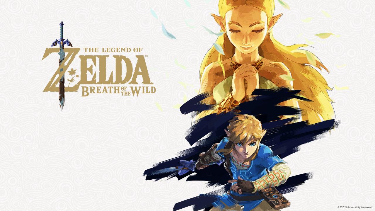 The Legend of Zelda: Breath of the Wild Nintendo Switch Access