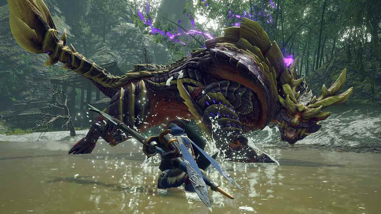 MONSTER HUNTER RISE Nintendo Switch Access