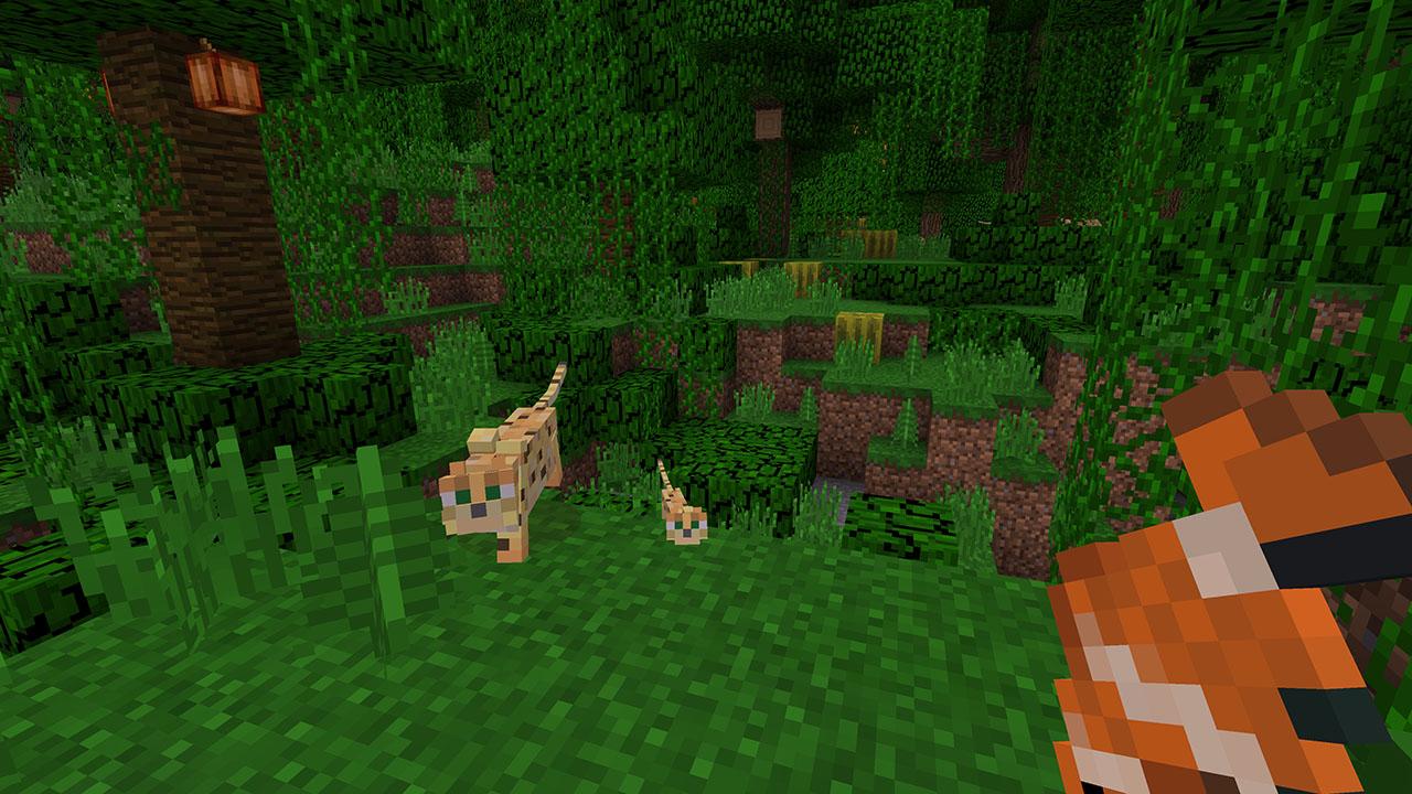 Minecraft Nintendo Switch Access
