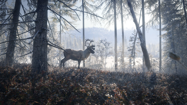 theHunter: Call of the Wild - Master Hunter Bundle PC Steam Account