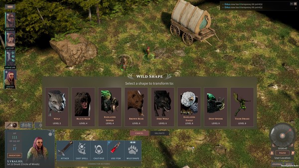 Solasta: Lightbringers Edition Steam Account