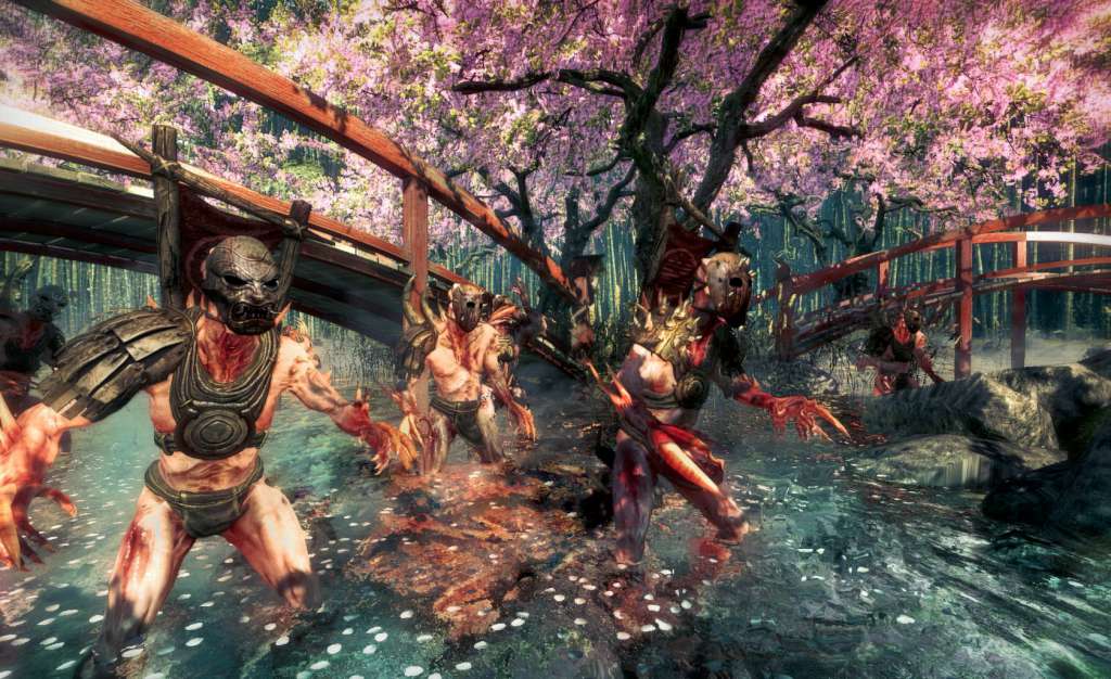Shadow Warrior AR XBOX One / Xbox Series X|S CD Key