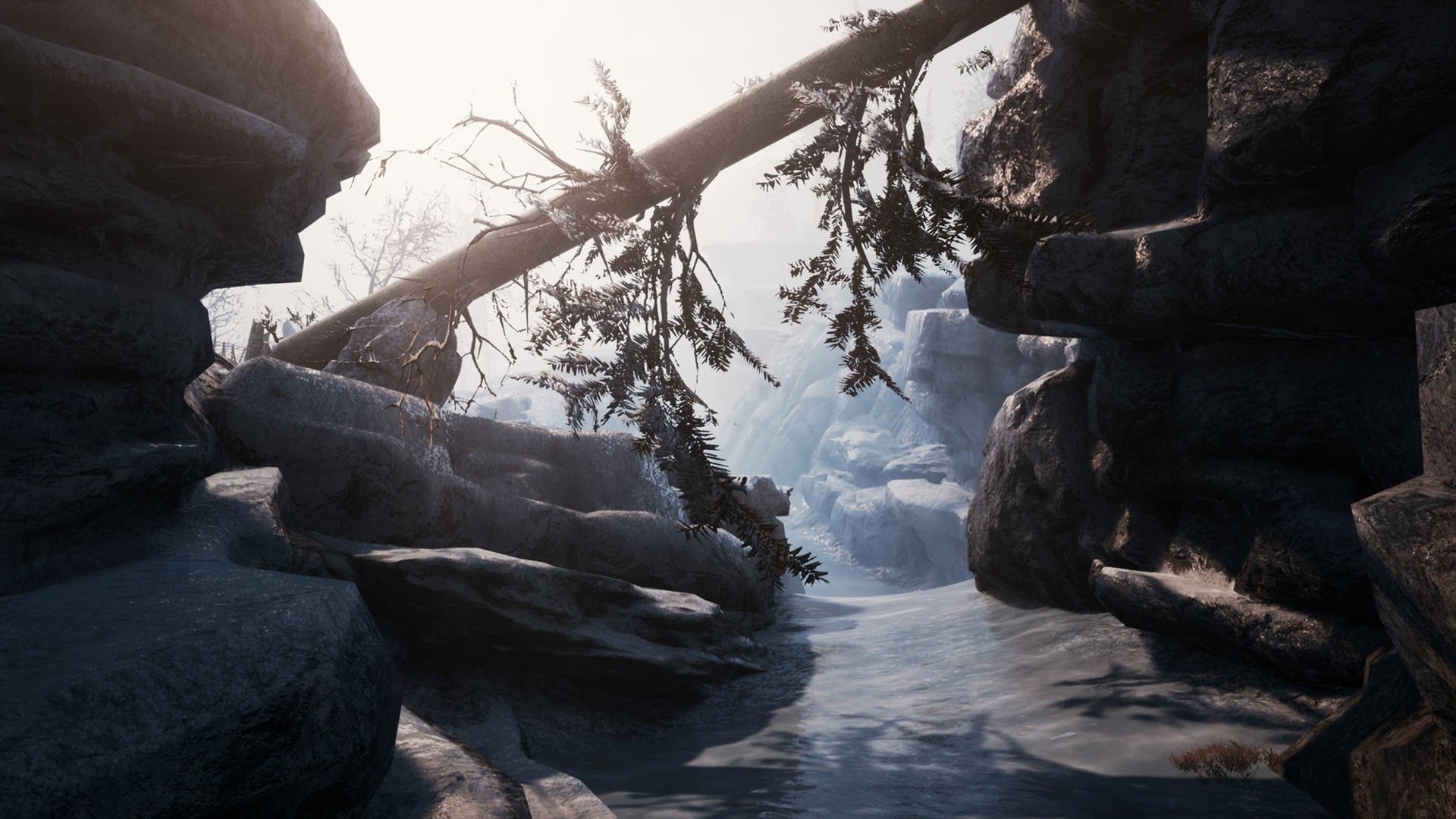Winter Survival Epic Games Account