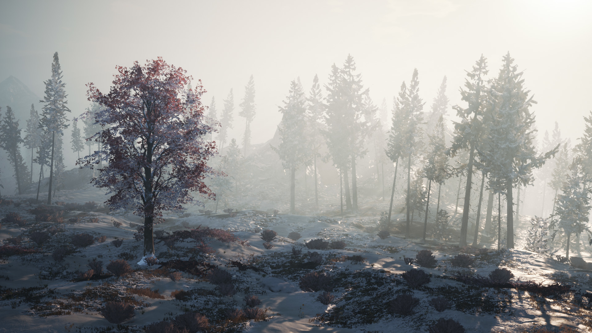 Winter Survival Epic Games Account
