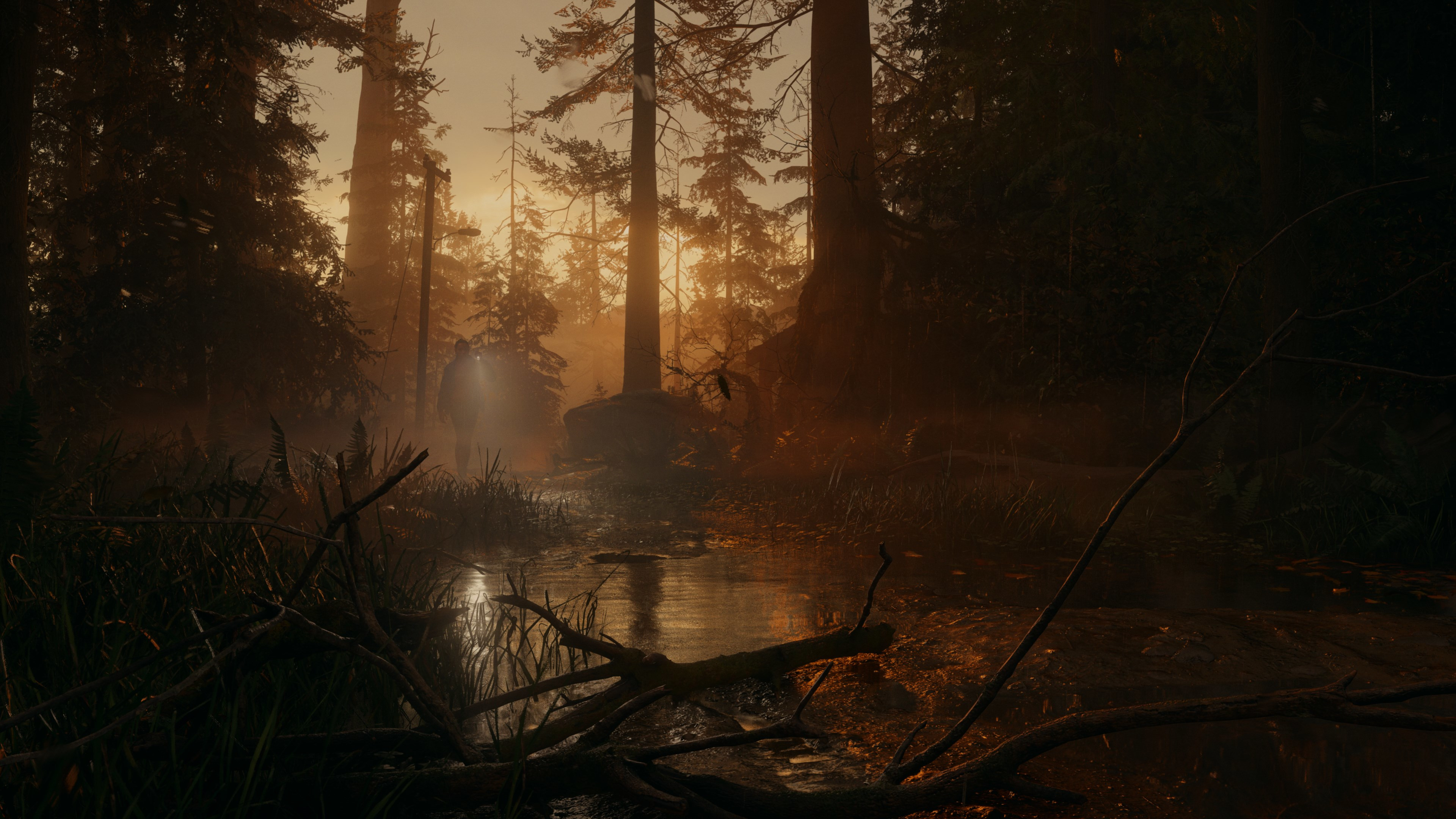 Alan Wake 2 Deluxe Edition Epic Games Account
