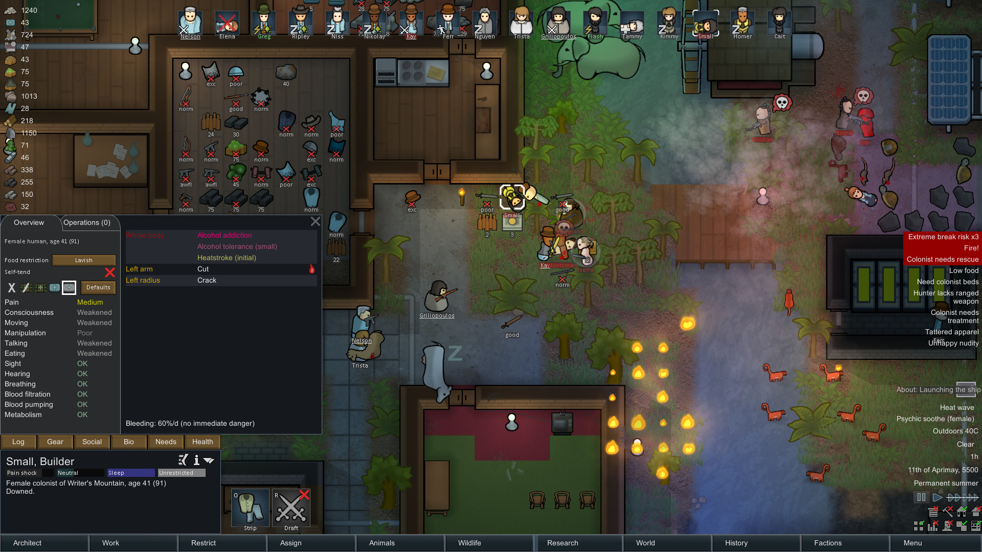 RimWorld - Starter Pack Bundle Steam Account