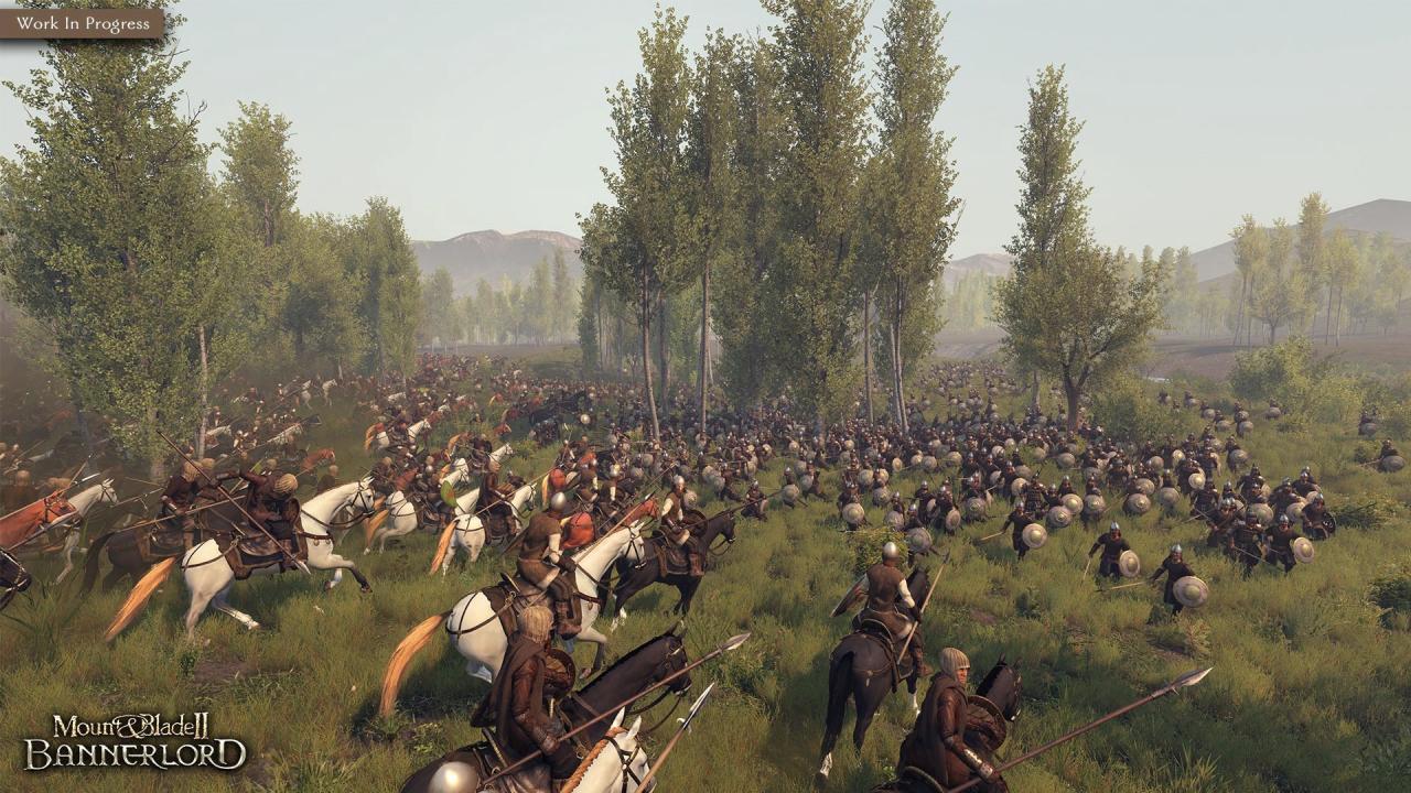 Mount & Blade II: Bannerlord GOG CD Key