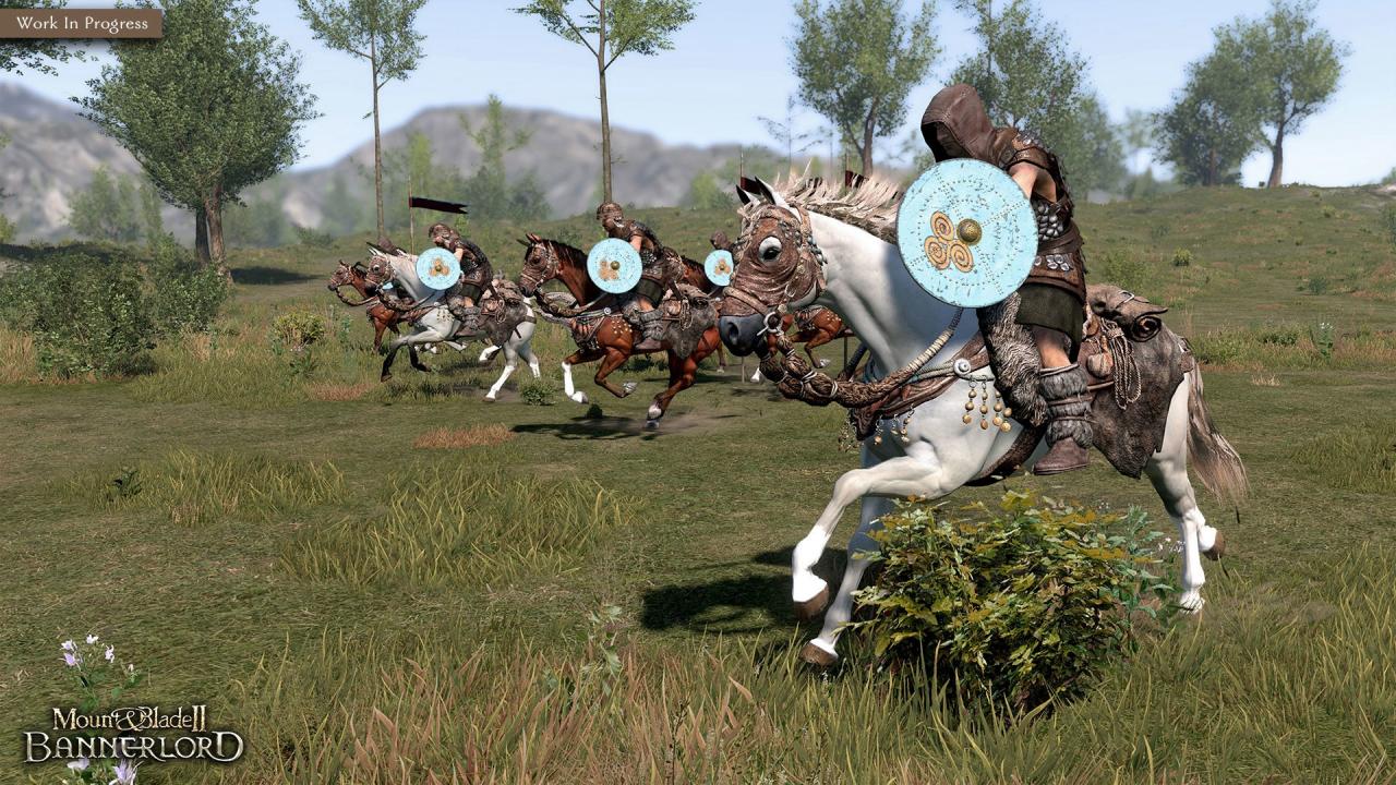 Mount & Blade II: Bannerlord GOG CD Key