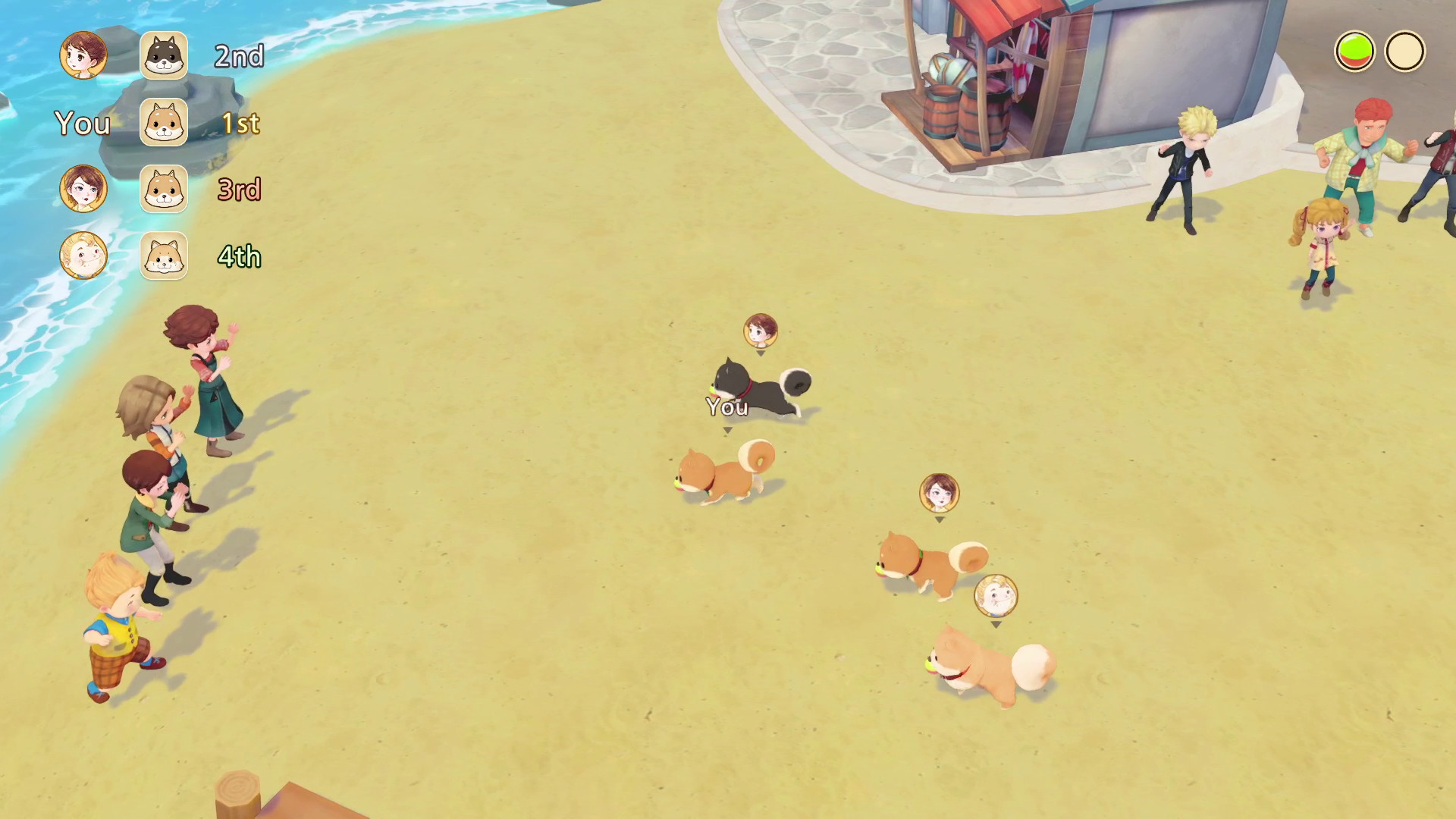 STORY OF SEASONS: Pioneers of Olive Town Nintendo Switch Access