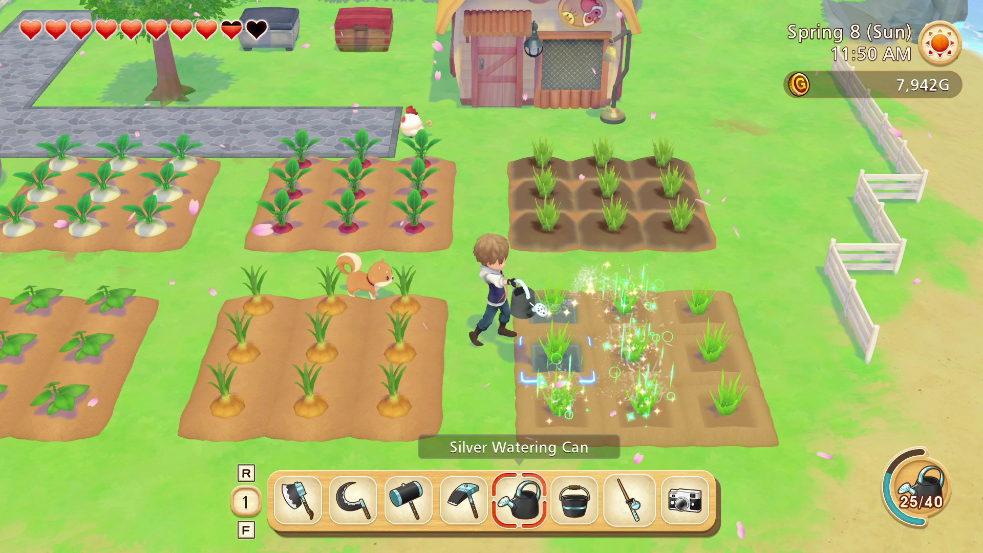 STORY OF SEASONS: Pioneers of Olive Town Nintendo Switch Access