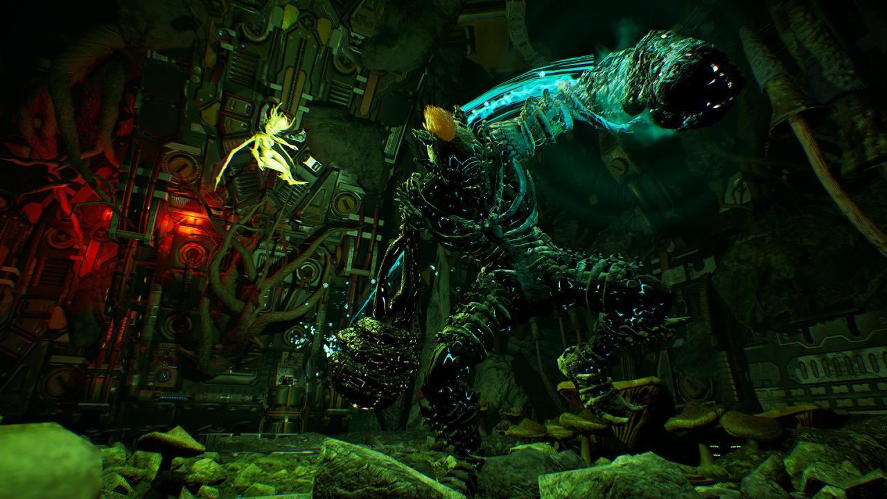 Arboria EU Steam CD Key