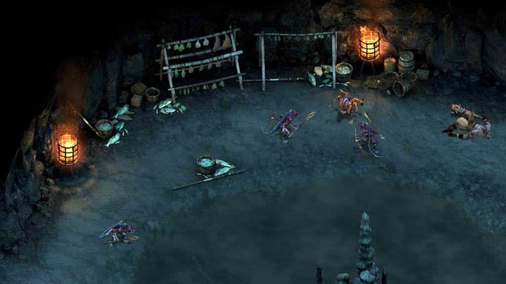 Pillars of Eternity: The White March Expansion Pass Steam Gift