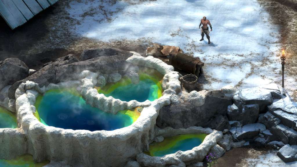 Pillars of Eternity: The White March Expansion Pass Steam Gift