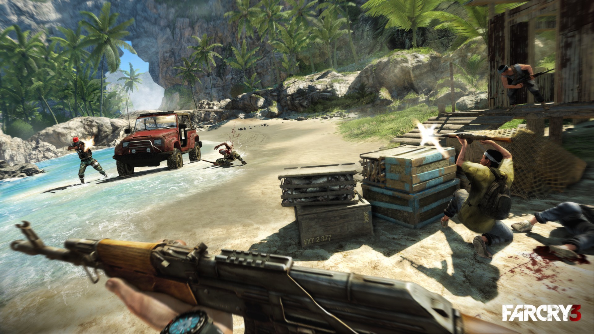 Far Cry 3 Steam Account