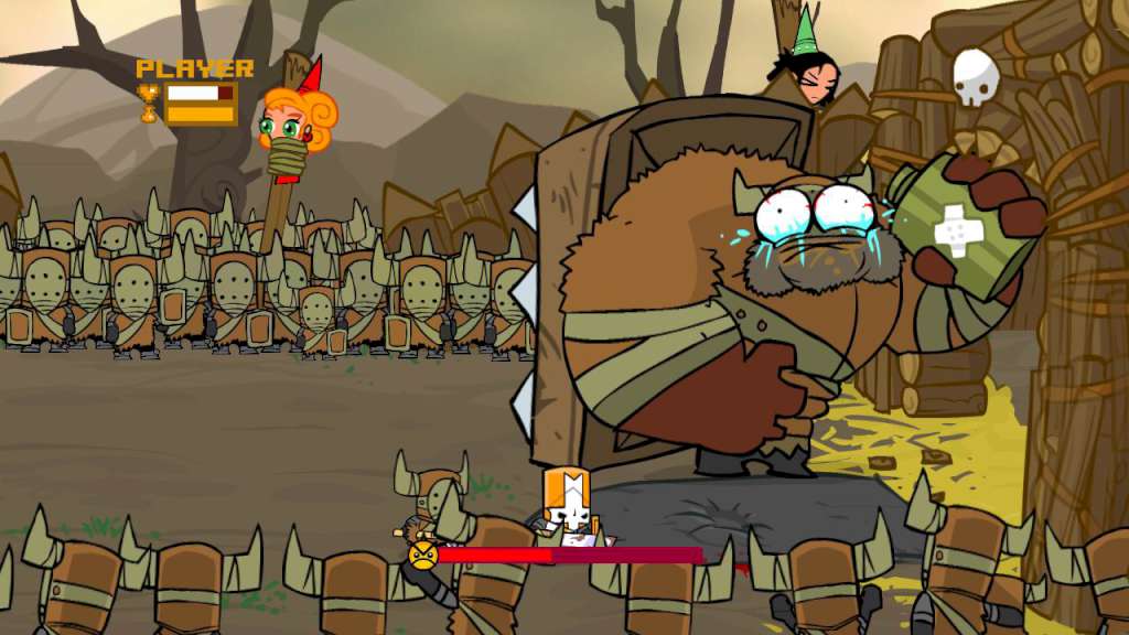 Castle Crashers PC Steam Account