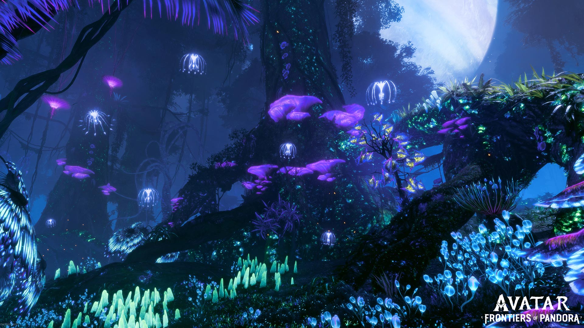 Avatar: Frontiers of Pandora Gold Edition Epic Games Account