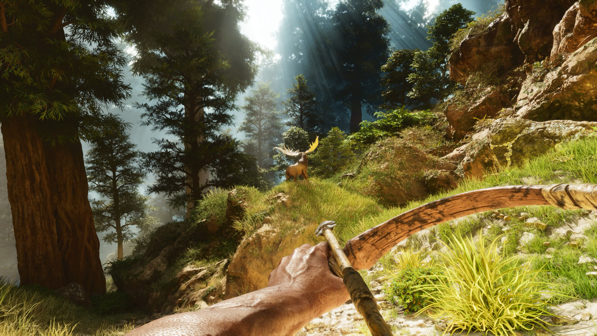 ARK: Survival Ascended PS5 Account