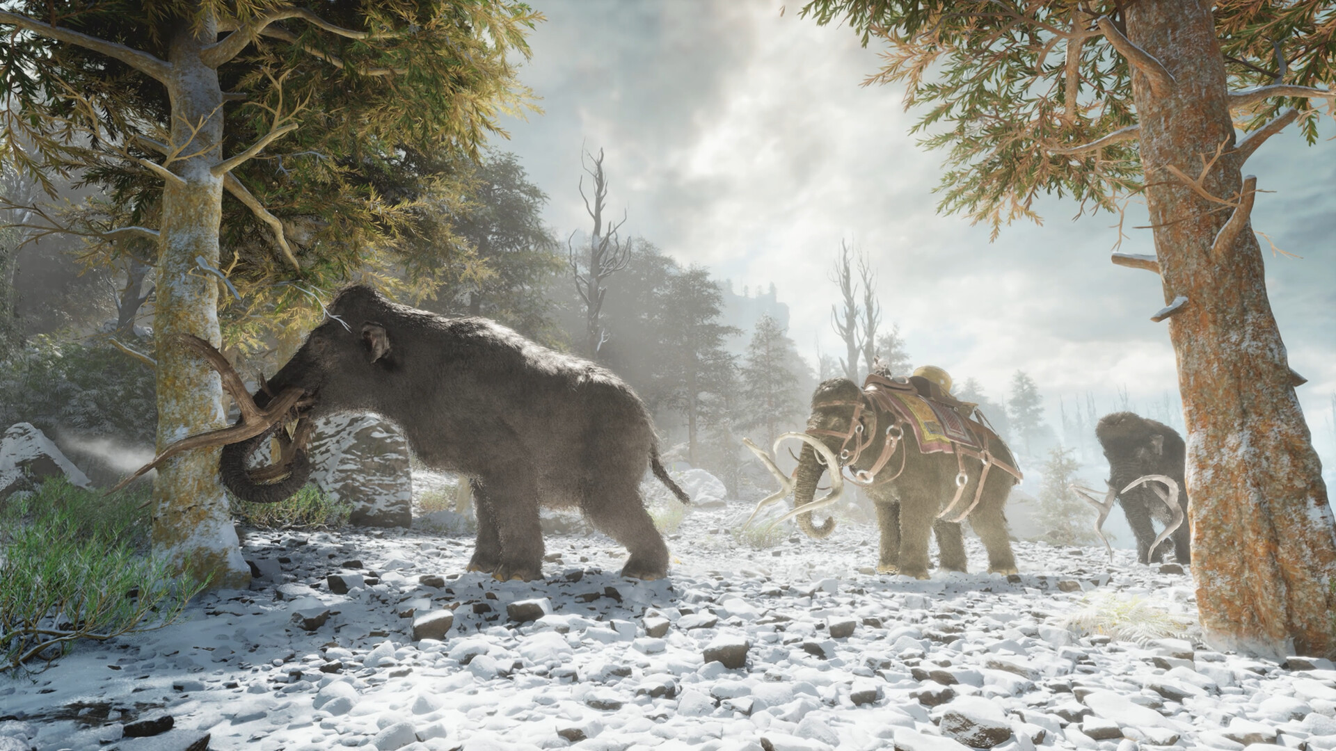 ARK: Survival Ascended PS5 Account