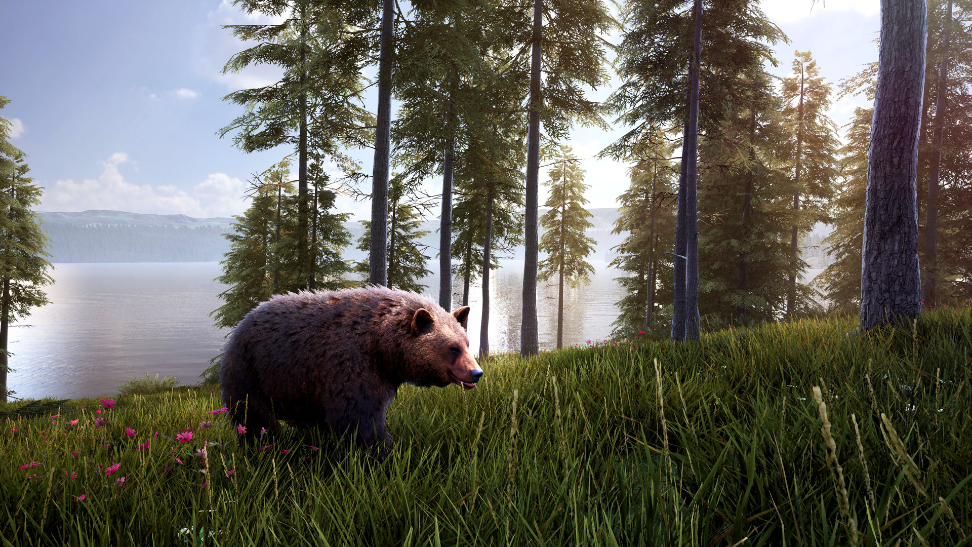Hunting Simulator 2 Elite Edition Steam CD Key