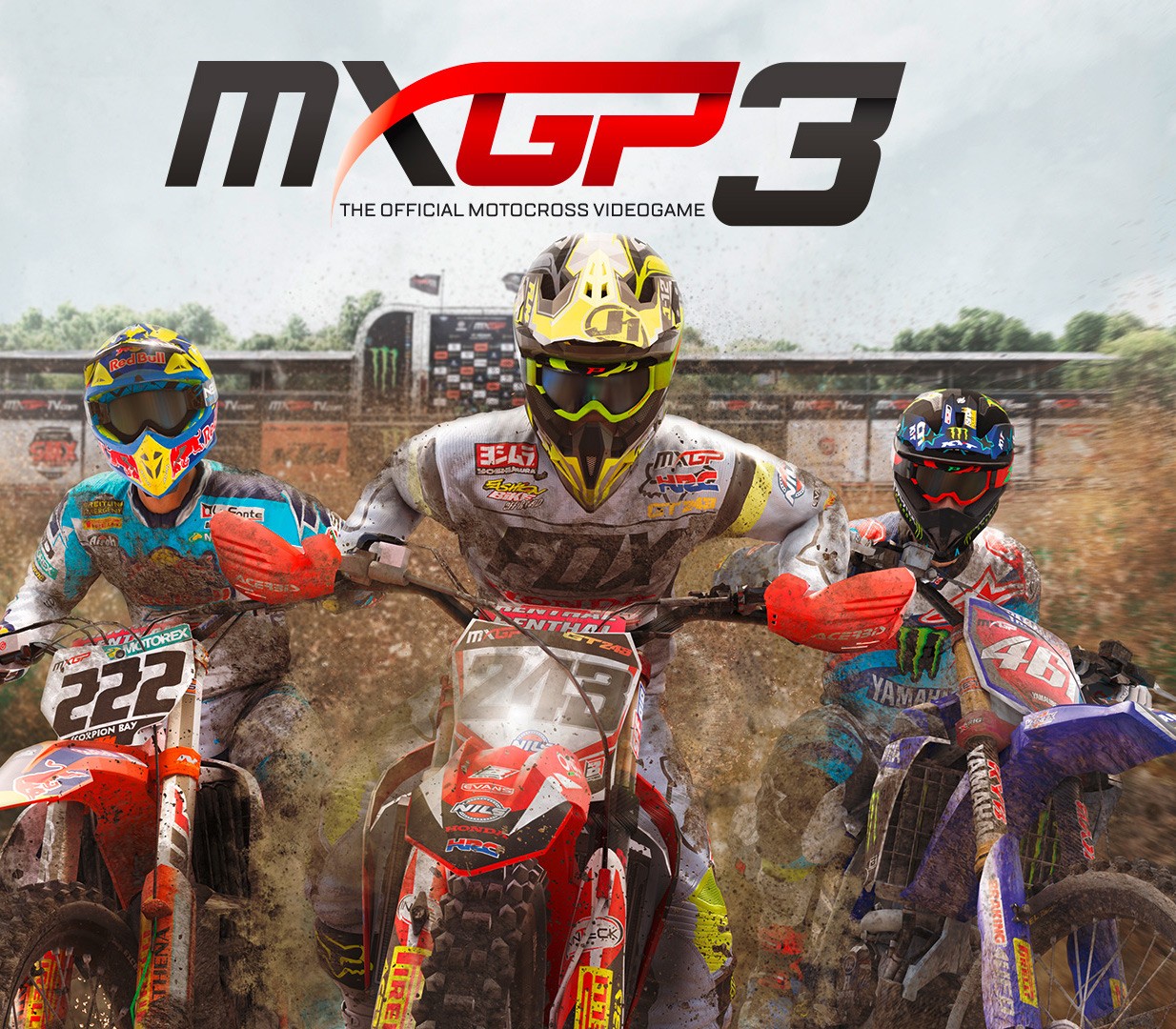 MXGP3: The Official Motocross Videogame Nintendo Switch Access