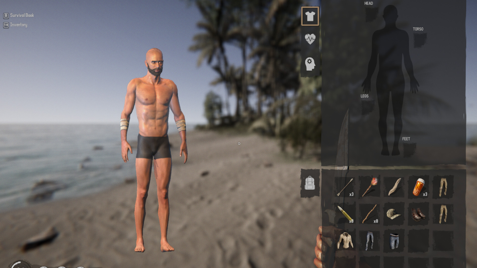 Project Castaway PC Steam Account