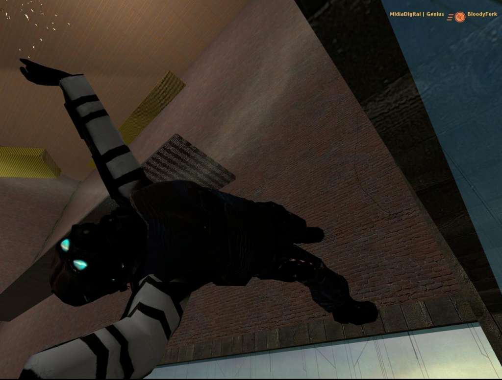 Source Multiplayer Pack PC Steam Account