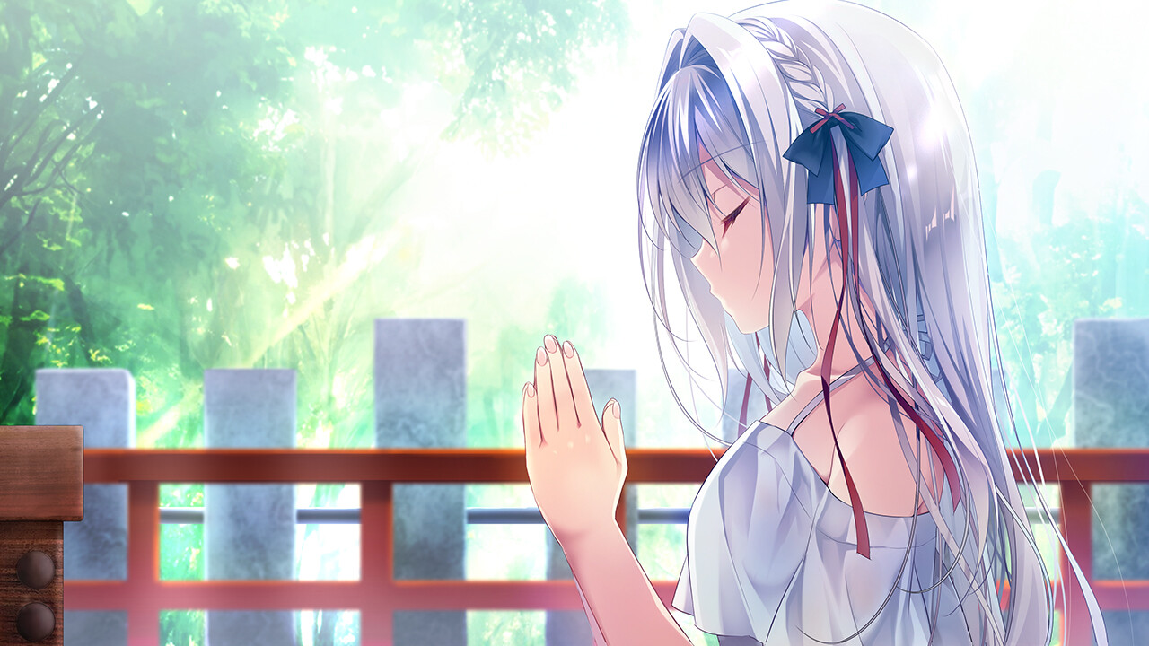 流る星 -a wish star- PC Steam Account