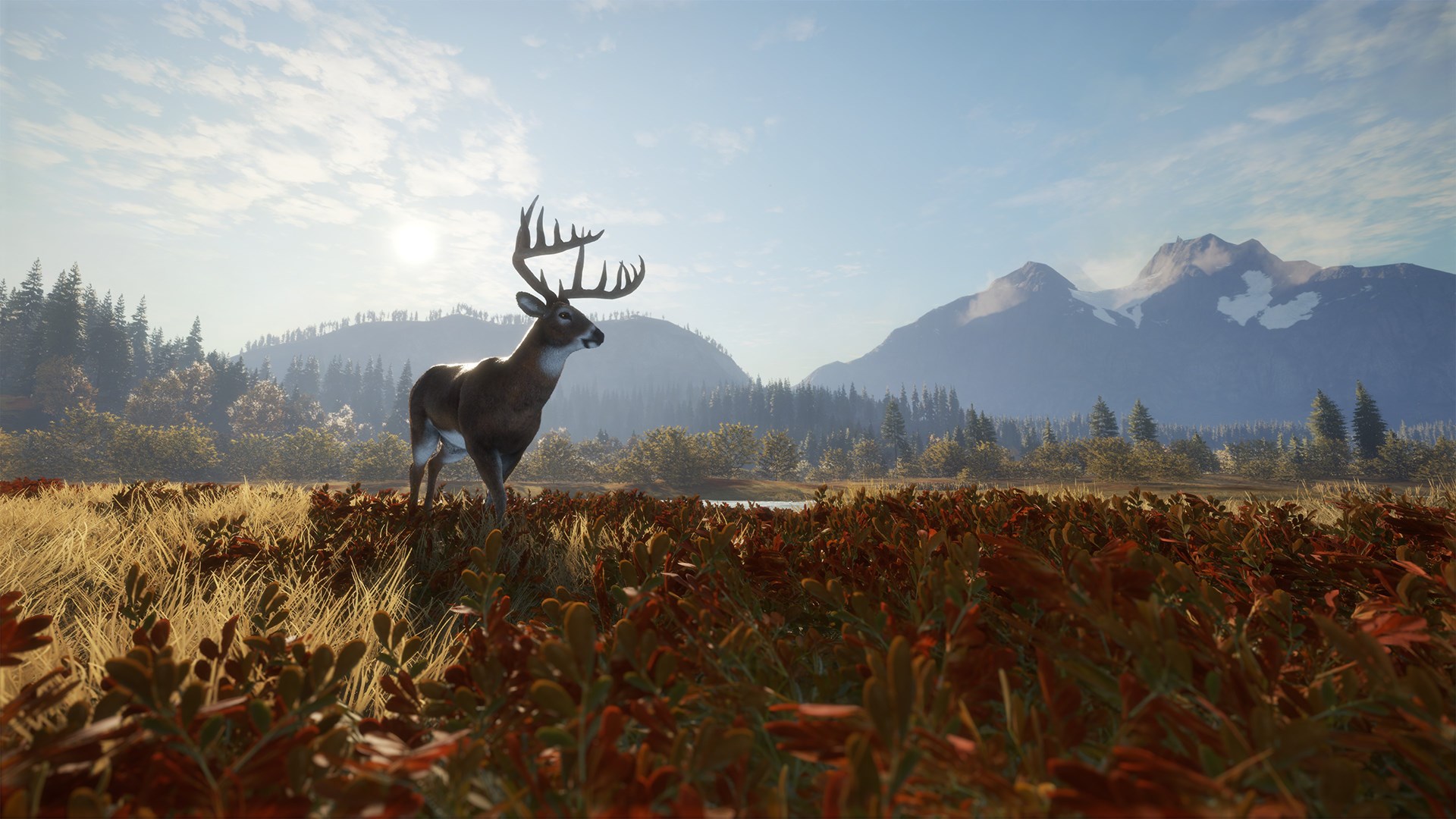 theHunter: Call of the Wild PS4 Account
