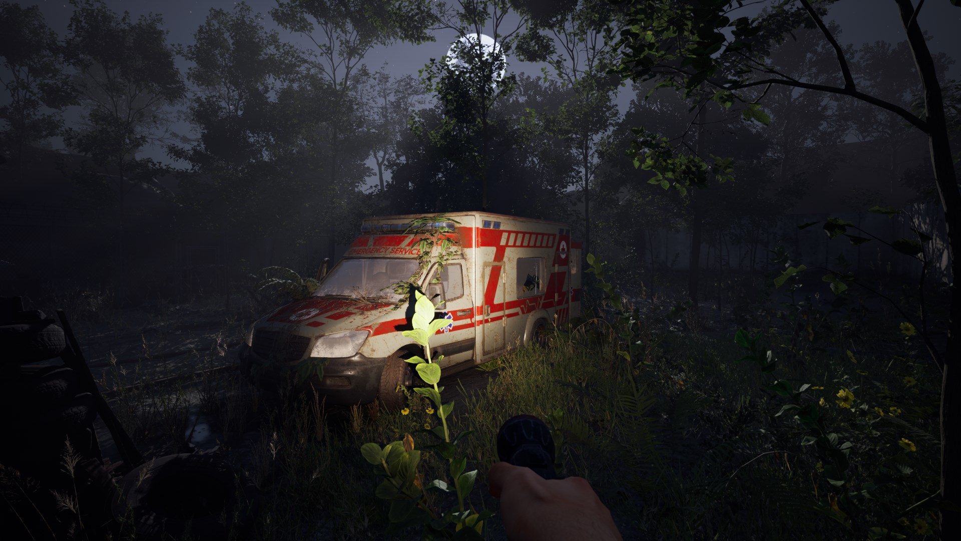 Dead Man´s Diary Xbox Series X|S Account