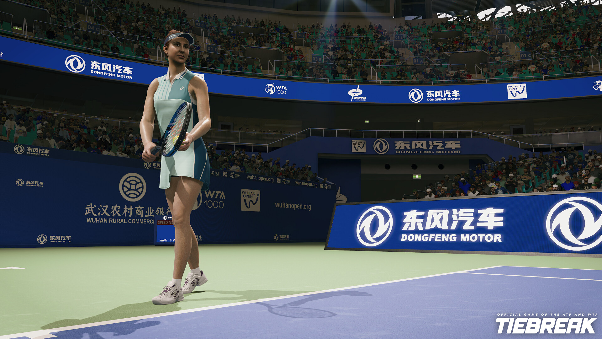 TIEBREAK: Official game of the ATP and WTA PC Steam Account