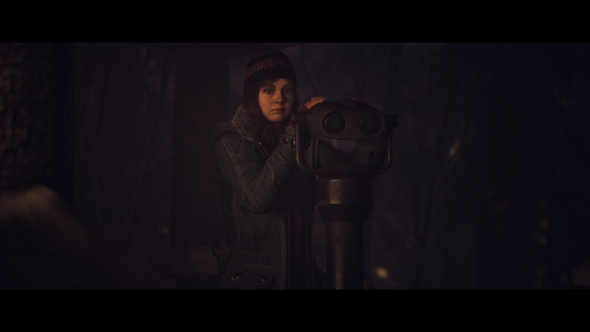 Until Dawn PC Steam Account