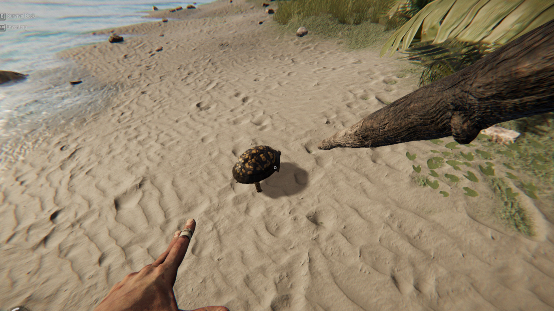 Project Castaway PC Steam Account