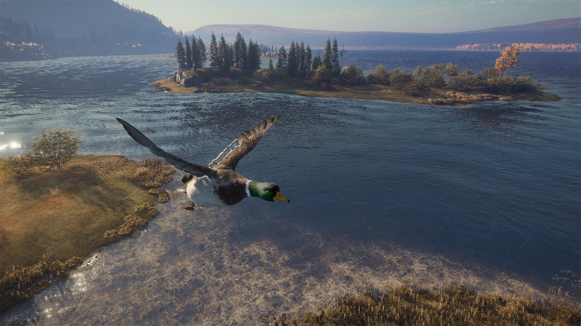 theHunter: Call of the Wild PS4 Account