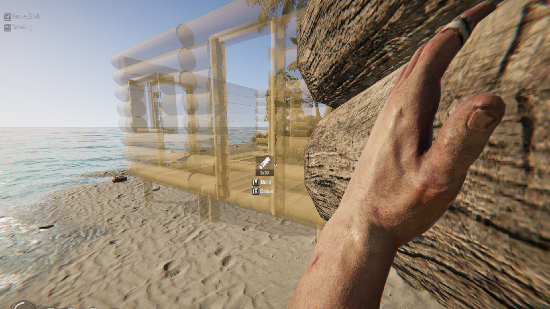 Project Castaway PC Steam Account