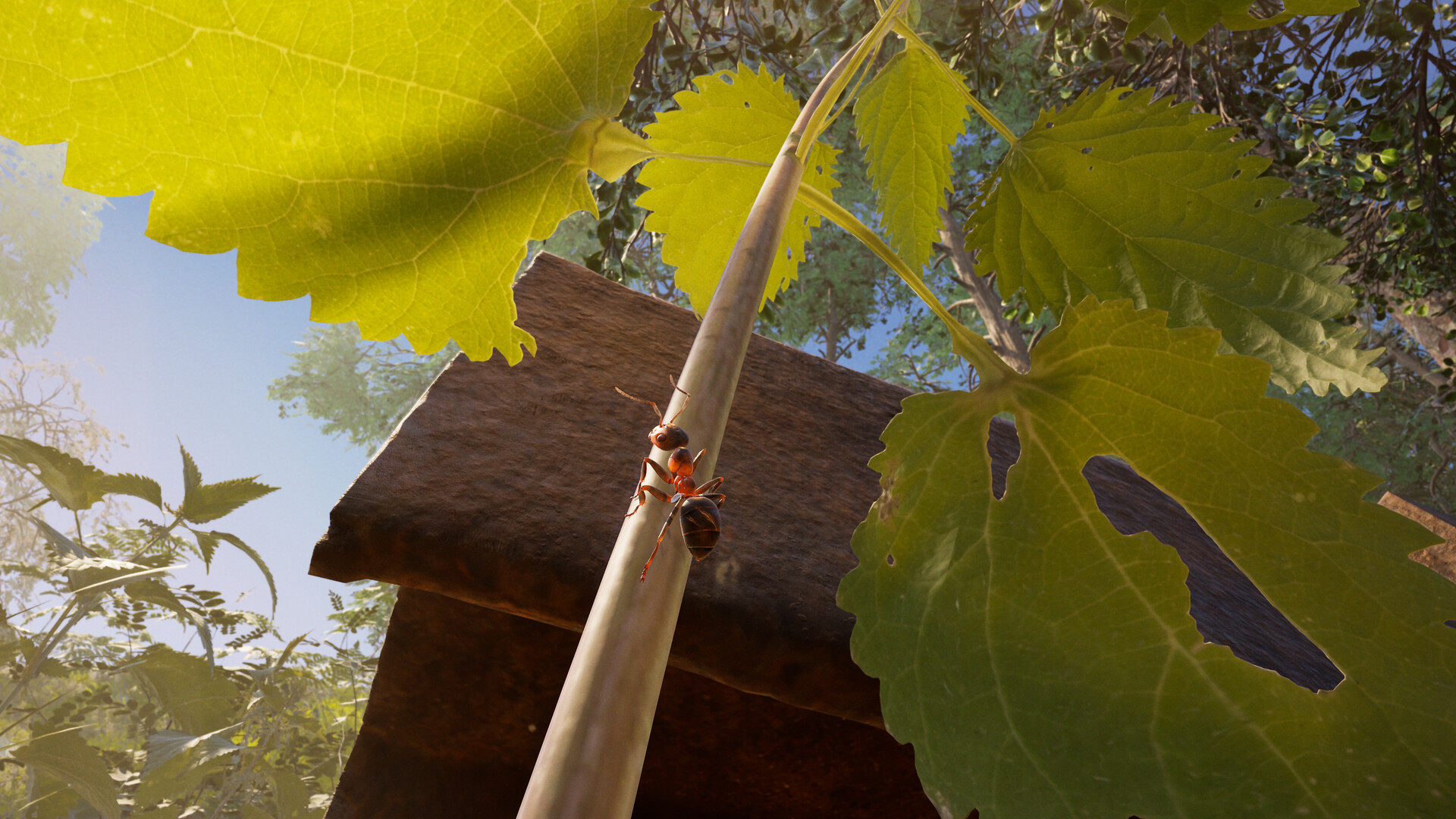 Empire of the Ants PC Steam Account
