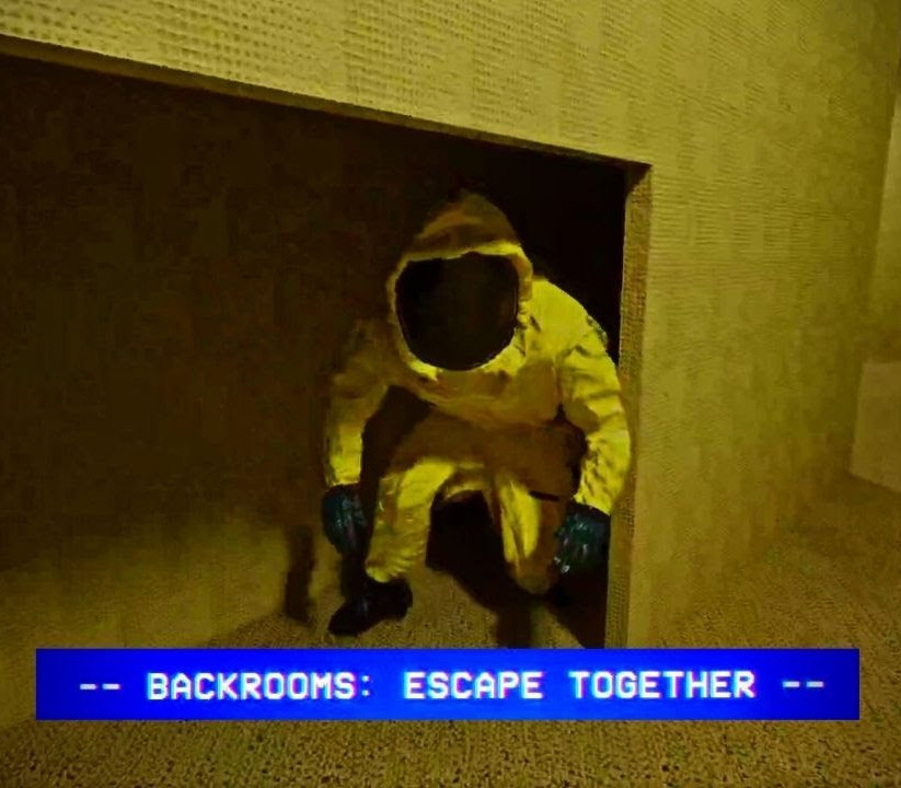 Backrooms: Escape Together PC Steam Account
