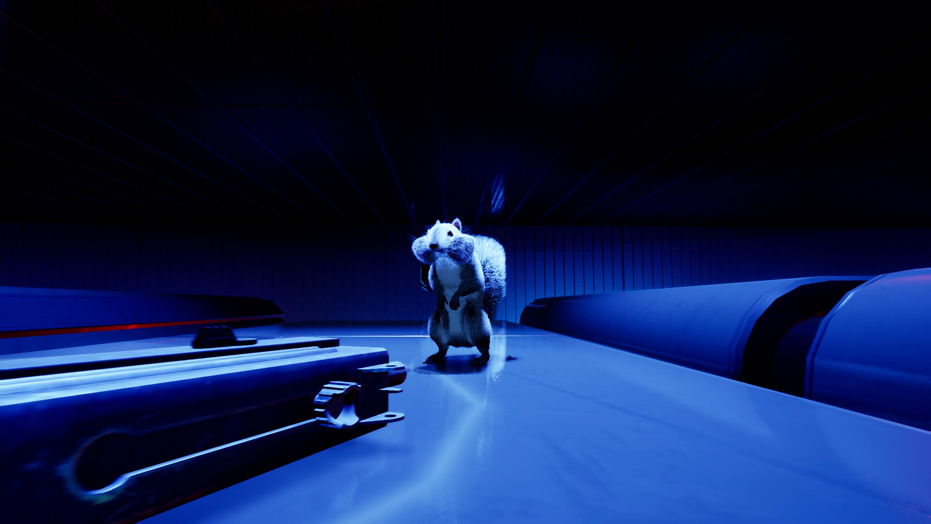 Squirrel with a Gun PC Epic Games Account