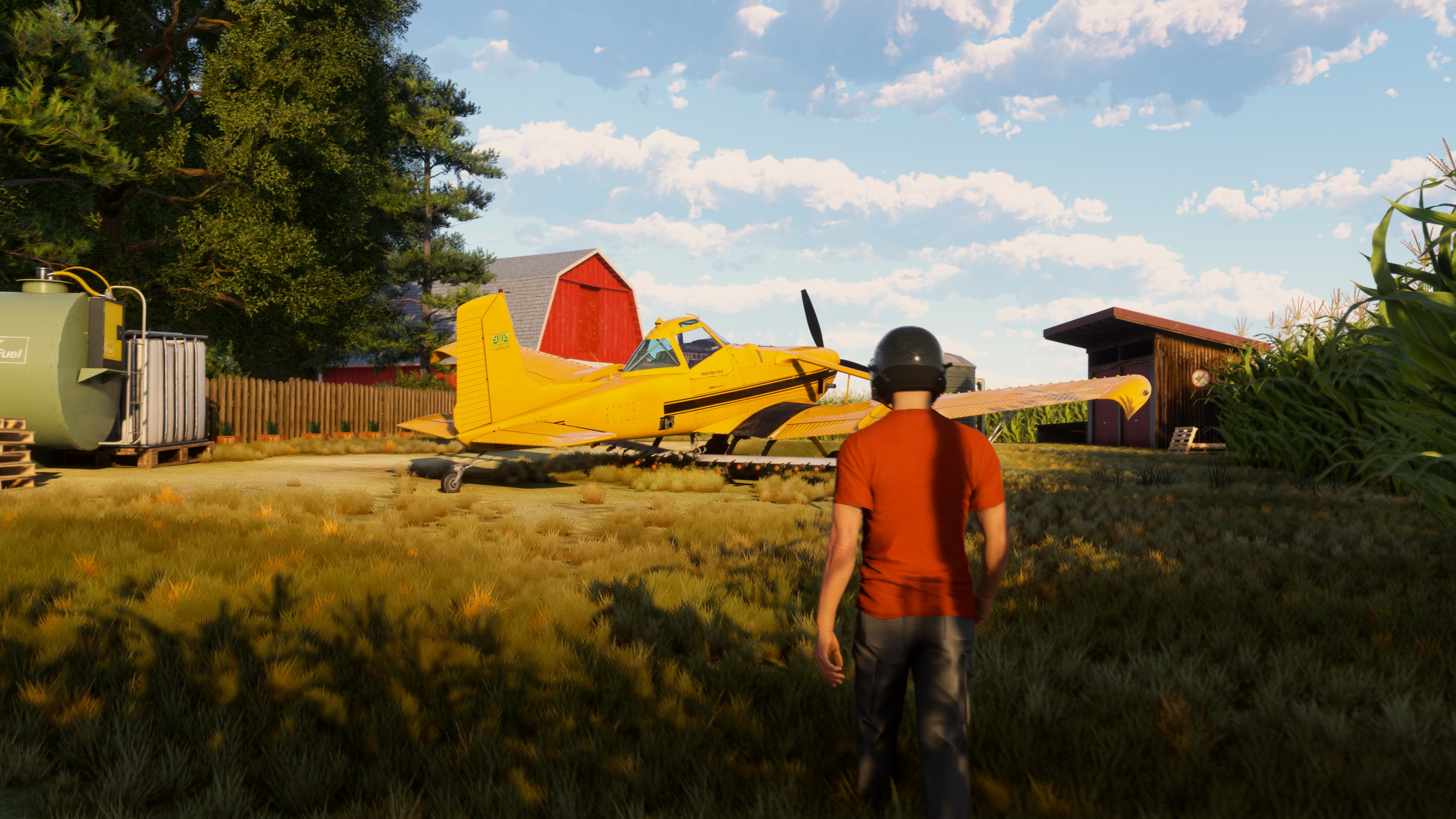 Microsoft Flight Simulator 2024 Aviator Edition PC Steam Account